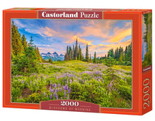 Load image into Gallery viewer, Blossoms of Morning (2000 pieces)
