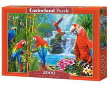 Load image into Gallery viewer, Parrot Meeting (2000 pieces)
