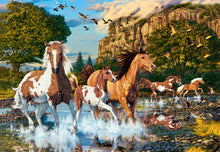 Load image into Gallery viewer, Horse Wonderland (1000 pieces)
