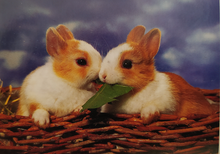 Load image into Gallery viewer, Two Bunnies Mini Puzzle (54 pieces)
