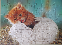 Load image into Gallery viewer, Kitten Hatchling Mini Puzzle (54 pieces)

