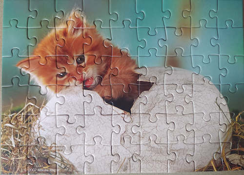 Kitten Hatchling Mini Puzzle (54 pieces)
