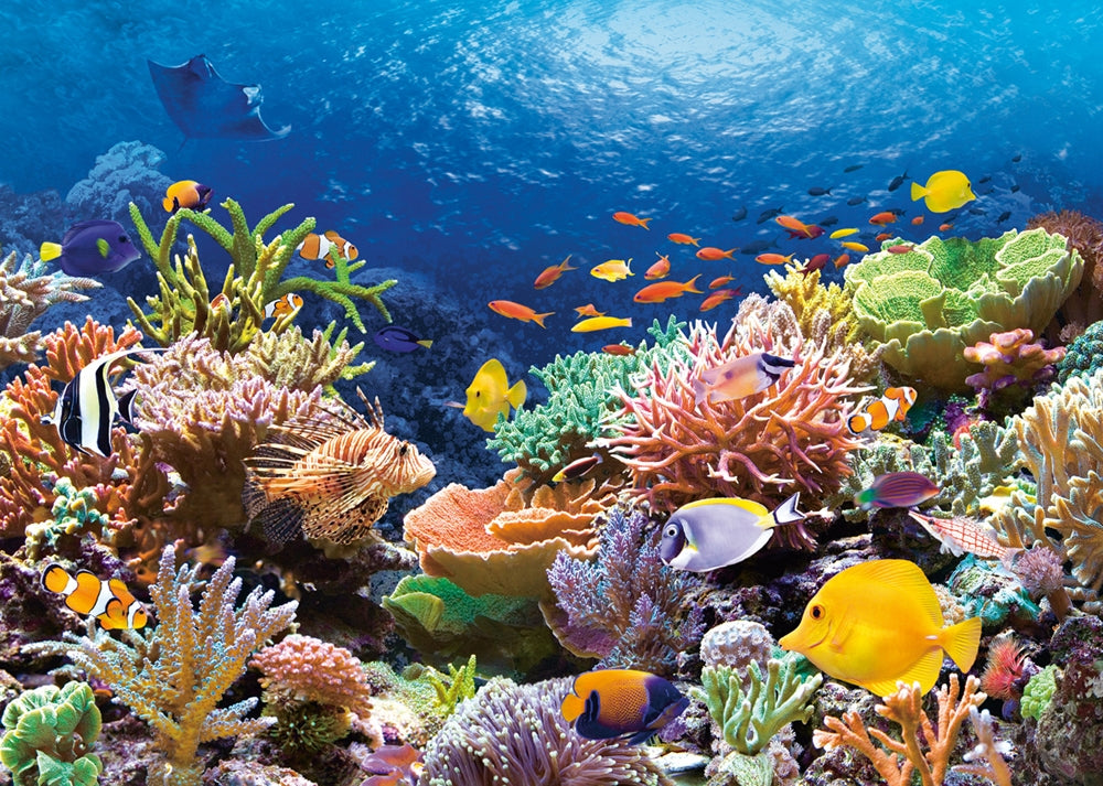 Coral Reef (1000 pieces)