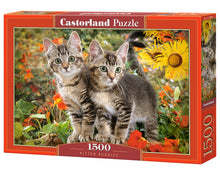 Load image into Gallery viewer, Kitten Buddies (1500 pieces)
