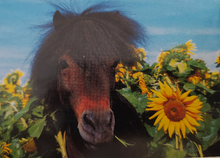 Load image into Gallery viewer, Sunflower Horse Mini Puzzle (54 pieces)
