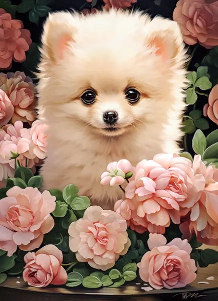 Pomeranian Puppy in Roses (300 pieces)