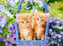 Load image into Gallery viewer, Ginger Kittens (70 pieces)
