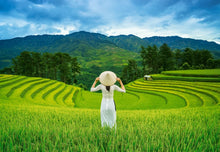 Load image into Gallery viewer, Rice Fields in Vietnam (1000 pieces)
