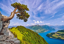 Load image into Gallery viewer, View of the Lake of Uri, Switzerland (1000 pieces)
