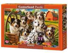 Load image into Gallery viewer, Happy Dogs In The Countryside (1000 pieces)

