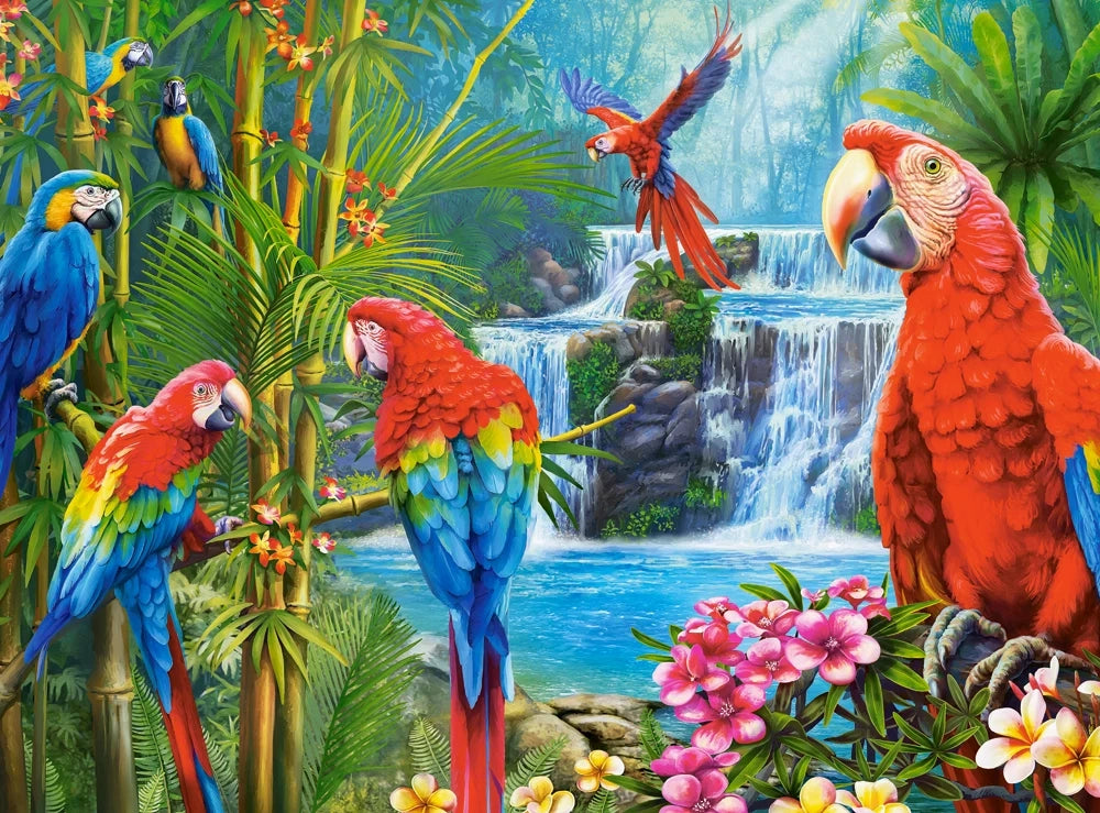 Parrot Meeting (2000 pieces)