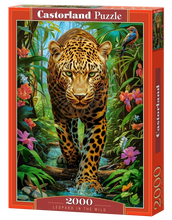 Load image into Gallery viewer, Leopard in the Wild (2000 pieces)
