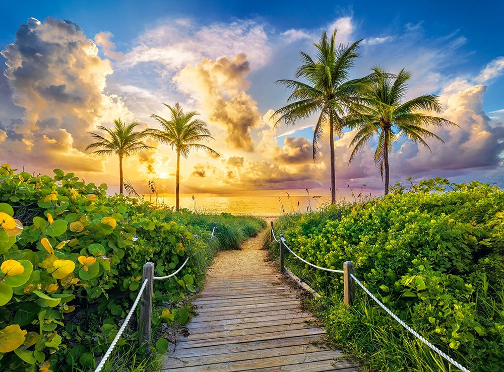 Colorful Sunrise in Miami, USA (3000 pieces)
