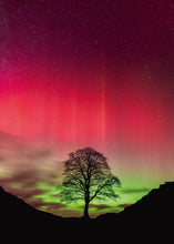 Load image into Gallery viewer, Sycamore Gap (1000 pieces)

