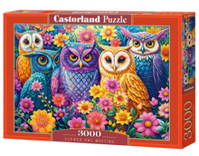 Load image into Gallery viewer, Flower Owl Meeting (3000 pieces)
