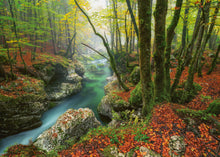 Load image into Gallery viewer, Little Brook (1000 pieces)
