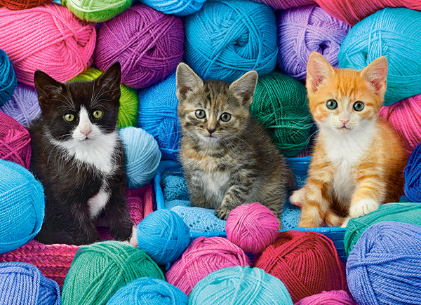 Kittens in Yarn Store (300 pieces)