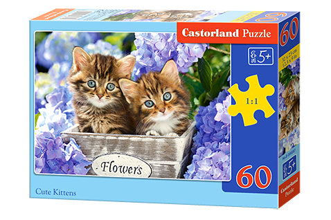 Cute Kittens (60 pieces)