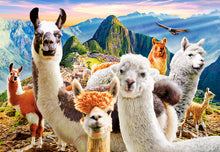Load image into Gallery viewer, Llamas Selfie (1000 pieces)
