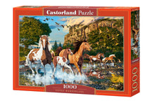 Load image into Gallery viewer, Horse Wonderland (1000 pieces)
