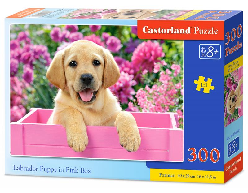 Labrador Puppy In Pink Box (300 pieces)