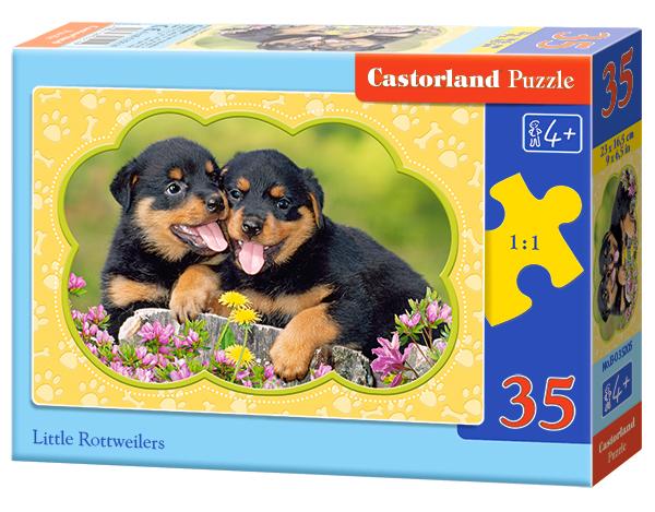 Little Rottweilers (35 pieces)