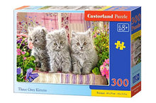 Load image into Gallery viewer, Three Grey Kittens (300 pieces)

