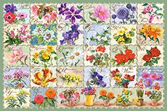 Vintage Floral (1000 pieces)