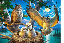 Load image into Gallery viewer, Owl Family (500 pieces)
