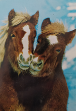 Load image into Gallery viewer, Two Horses Mini Puzzle (54 pieces)
