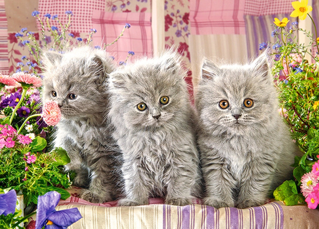 Three Grey Kittens (300 pieces)