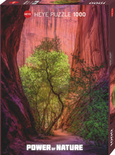 Load image into Gallery viewer, Singing Canyon (1000 pieces)
