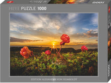 Load image into Gallery viewer, Cloudberries (1000 pieces)
