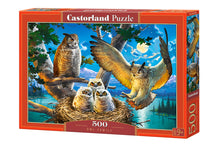 Load image into Gallery viewer, Owl Family (500 pieces)
