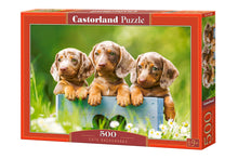 Load image into Gallery viewer, Cute Dachshunds (500 pieces)
