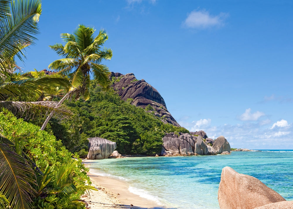 Tropical Beach, Seychelles (3000 pieces)