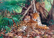 Load image into Gallery viewer, Jaguars In The Jungle (3000 pieces)
