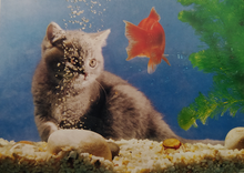 Load image into Gallery viewer, Cat and Fish Mini Puzzle (54 pieces)
