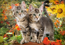Load image into Gallery viewer, Kitten Buddies (1500 pieces)
