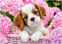 Load image into Gallery viewer, Pup In Pink Flowers (180 pieces)
